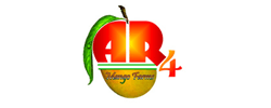 AR4 Mangoes